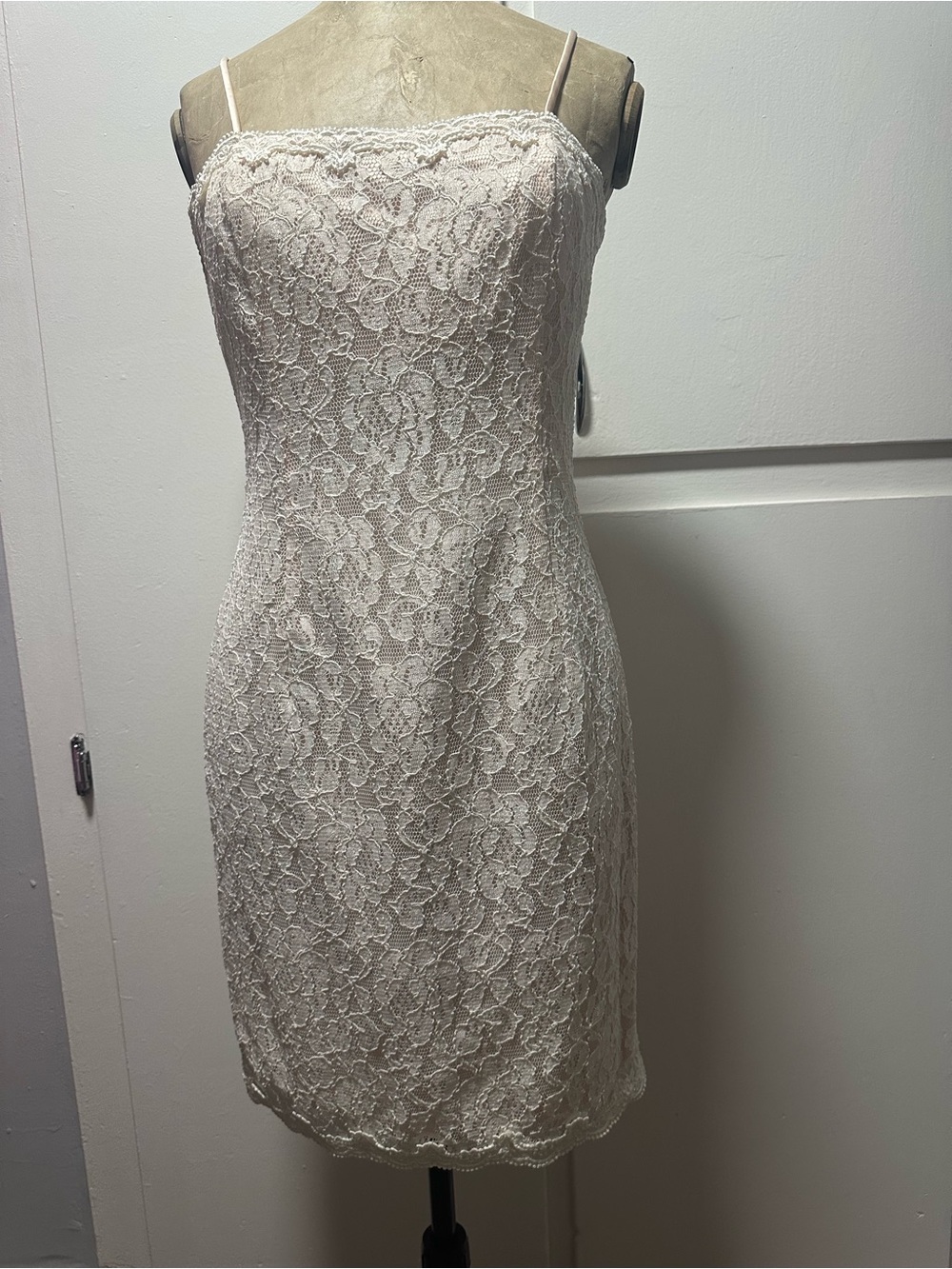 Vintage! Scott McClintock Lace Slip Dress Sz. 6 NWOT